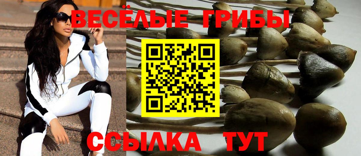 Псилоцибиновые грибы Psilocybine cubensis Гагарин