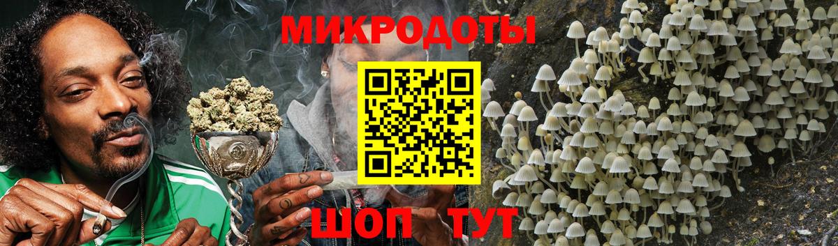 Гагарин  Псилоцибиновые грибы MAGIC MUSHROOMS  наркотики  Вход с VPN 